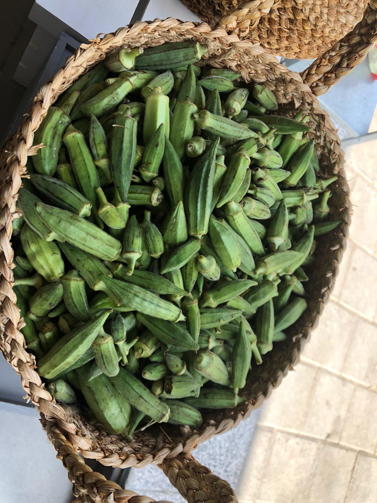 WhatsApp Image 2020-07-29 at 11.16.49 AM (2).jpeg.jpeg